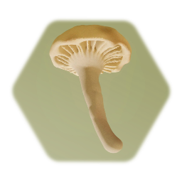 Community Garden Challenge 4: Mushrooms