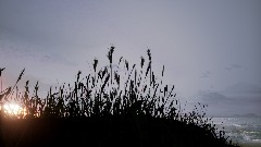 Beach at dusk