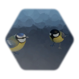 Blue Tit & Great Tit