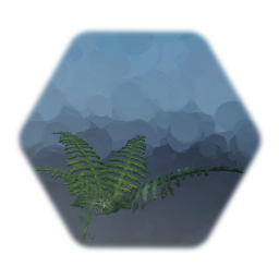 Wet Fern