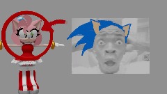 Today is Amy's birthday // SONIC ANIMATION