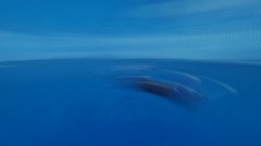 A screenshot taken in Dreams. 9 of 22.