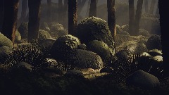 Mossy Forest