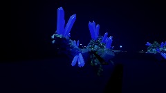 Crystal Cave-Tempus fugitive 5