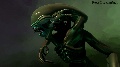 Xenomorph and Predator ( AVP ) - Bibliothek/Showcase