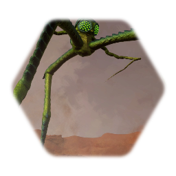 Tripod