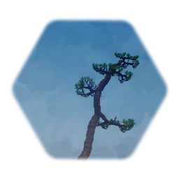 Tree - Mountain Pine