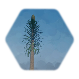 Prehistoric Plant -  Pleuromeia