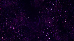 A e s t h e t i c                           B a c k g r o u n d