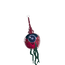 Zgi5_05