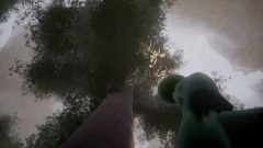 Appreciating the Trees