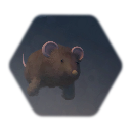 Rat