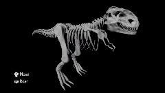 T-Rex Skeleton