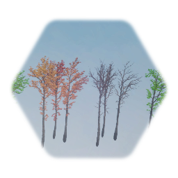 Southern Red Oak Cluster