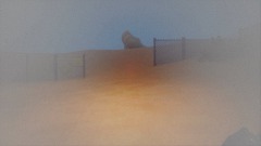 Dust RUNNER mad house game