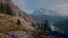 Chain Lakes Trail and Latest Hikes