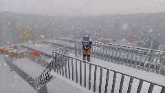 Artic's dangers 4 scène