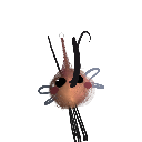SuperSonicCoby