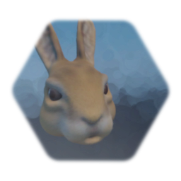 Rabbit head