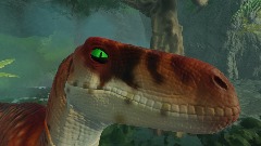 2001  Red tiger Raptor