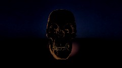 Sillent hill the forest of survival