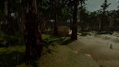 Secrets of The Forest