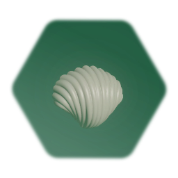 📂 Seashells