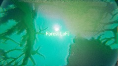 Forest LoFi