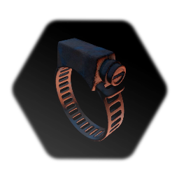 Rusty Hose Clamp