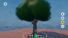 My Second Tree