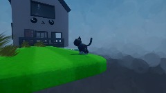 My cat