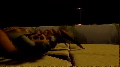 Spider-Vreed was here