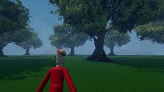 L'uomo misterioso