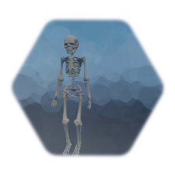 Skeleton Enemy
