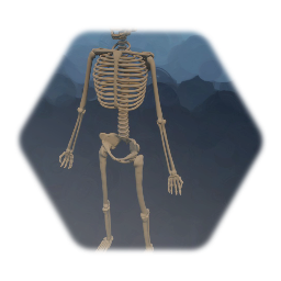 Skeleton, semi realistic