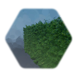 Busch hecke