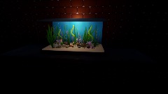 Aquarium Display