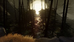 A screenshot taken in Dreams. 2 of 21.