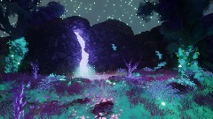 Bioluminescent Woods