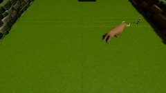 Bull 2 players