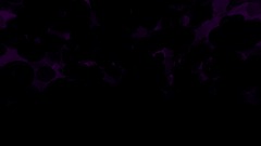 Cogniphelym trap mix