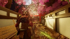 Bushido blade Test 2