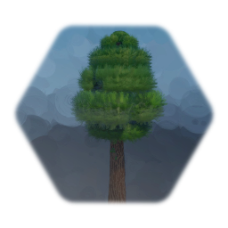 Large Cedar tree / Pino - Abeto Grande