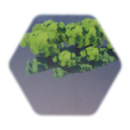 Woods