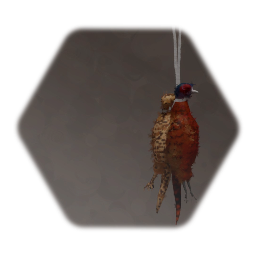 Butcher's Shop Brace of Pheasants