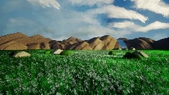 American Countryside