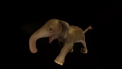 The elephant with small ears