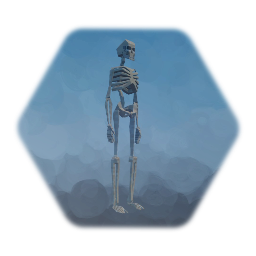 Low Poly Skeleton