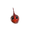 FinnyBun