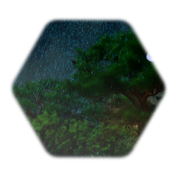 Forêt de nuit pluvieuse